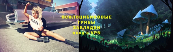 молекула духа Козельск