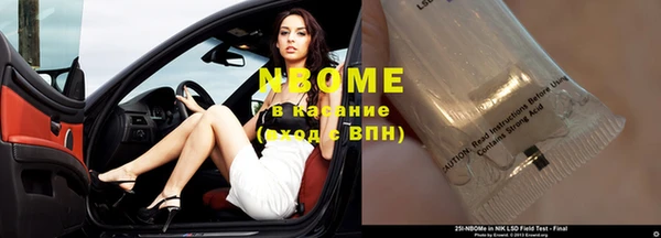 молекула духа Козельск