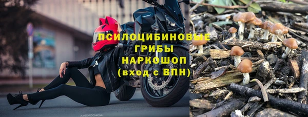 молекула духа Козельск