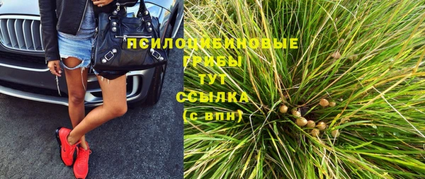 молекула духа Козельск