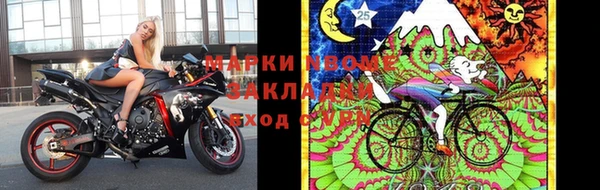 молекула духа Козельск