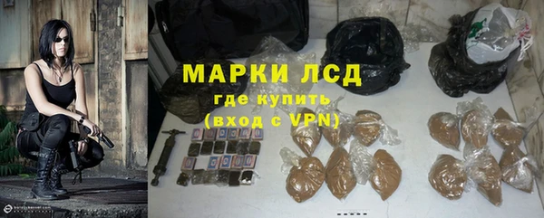 PSILOCYBIN Кодинск