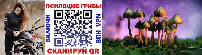 Псилоцибиновые грибы Magic Shrooms Купить закладки Волчанск